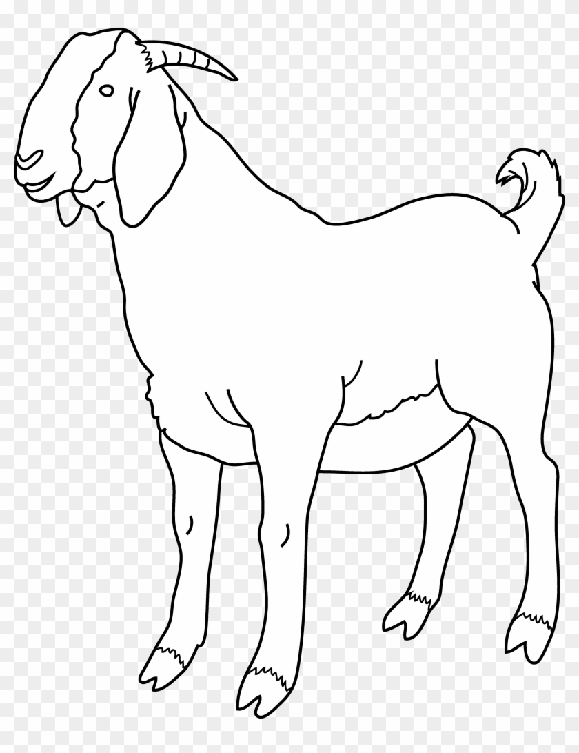 Goat Coloring Page - Goat Black And White #599345