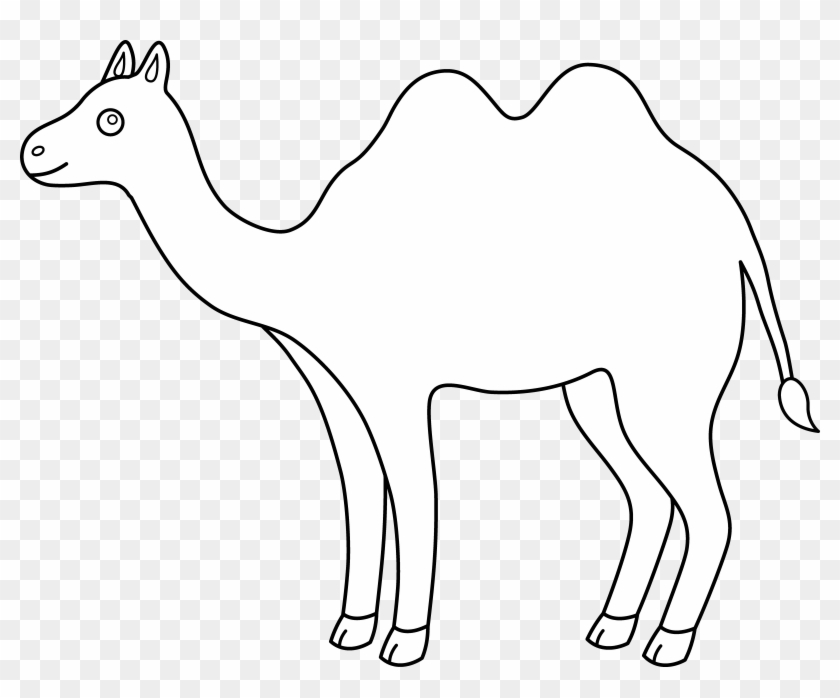 Colorable Outline Camel Free Clip Art Car Pictures - White Camel Outline #599387