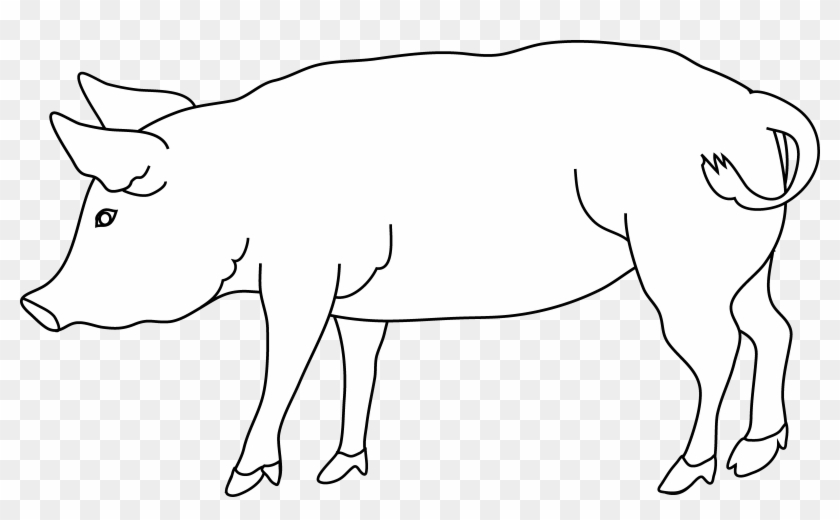 Pig 2 Line Art Pig Coloring Pages - Clip Art #599406