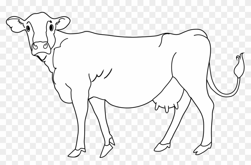 Cow Coloring Page - Cow Clipart Black & White #599429