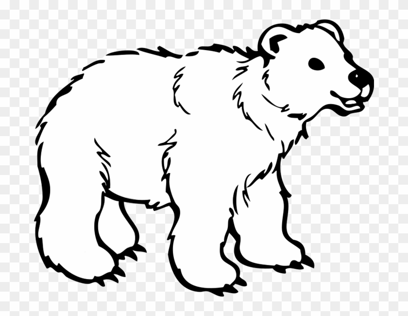 White Bear - Black And White Bear Png #599434