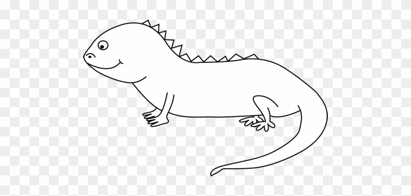 Iguana Clipart Black And White - Iguana Black And White #599436