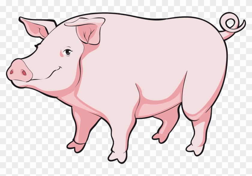 Free To Use Public Domain Pig Clip Art - Realistic Pig Clipart #599443