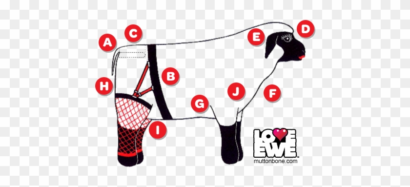 Love Ewe Blow Up Sheep Features Diagram - Ewe #599465