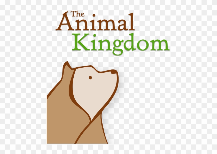The Animal Kingdom - The Animal Kingdom #599484