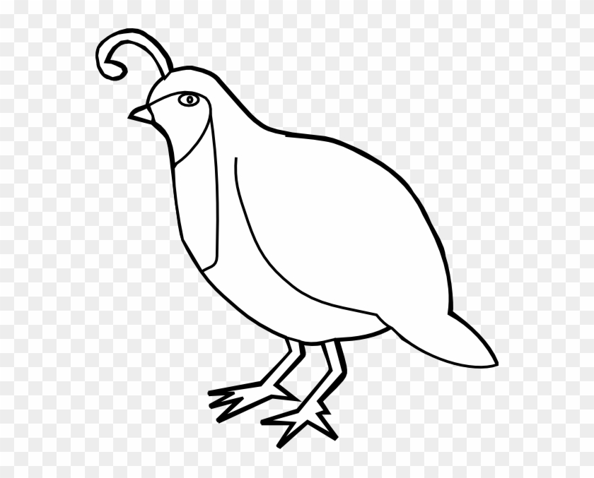 Quail Outline Clip Art - Partridge Clipart #599485