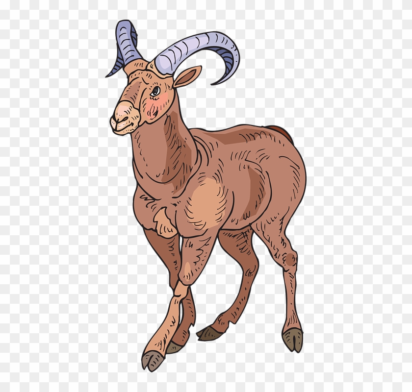 Sheep Clipart Walking - Big Horn Sheep Clipart #599693