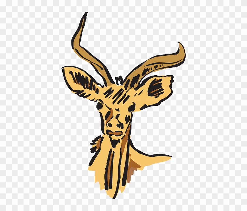 Antelope Head Clipart - Clip Art #599797