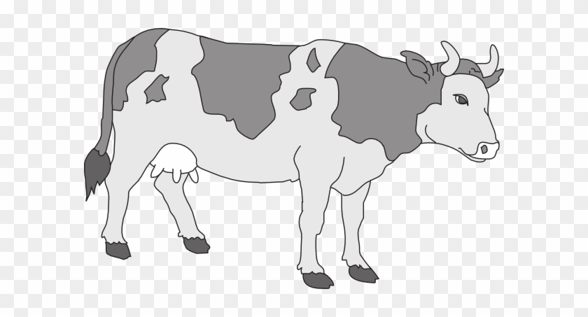 Gray Clipart Cow - Cow Clipart #599890