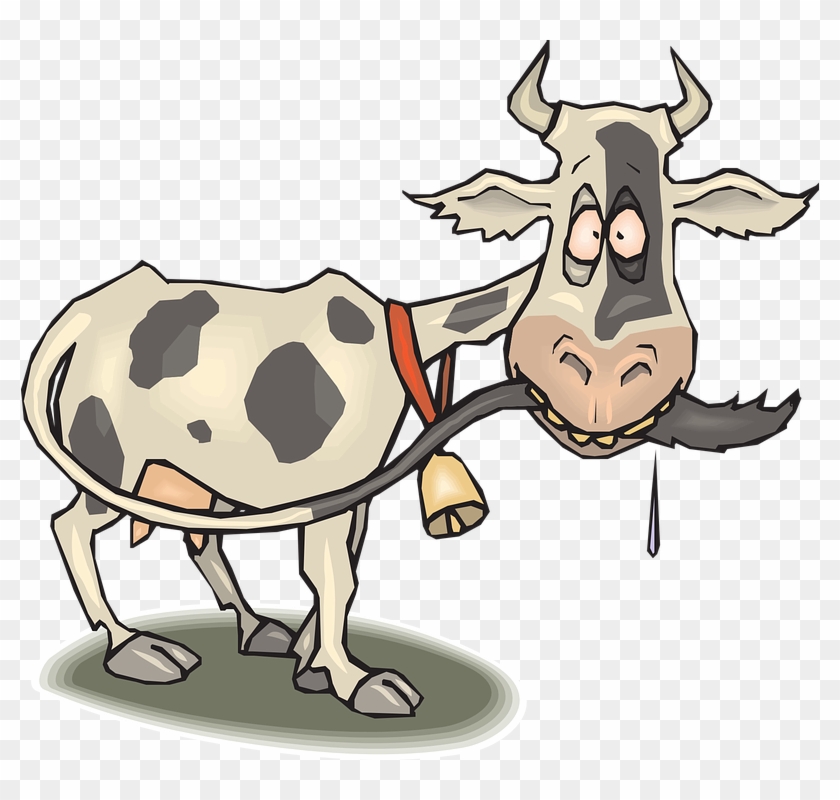 Silly Goat Cliparts 15, - Crazy Cow Clipart #599907