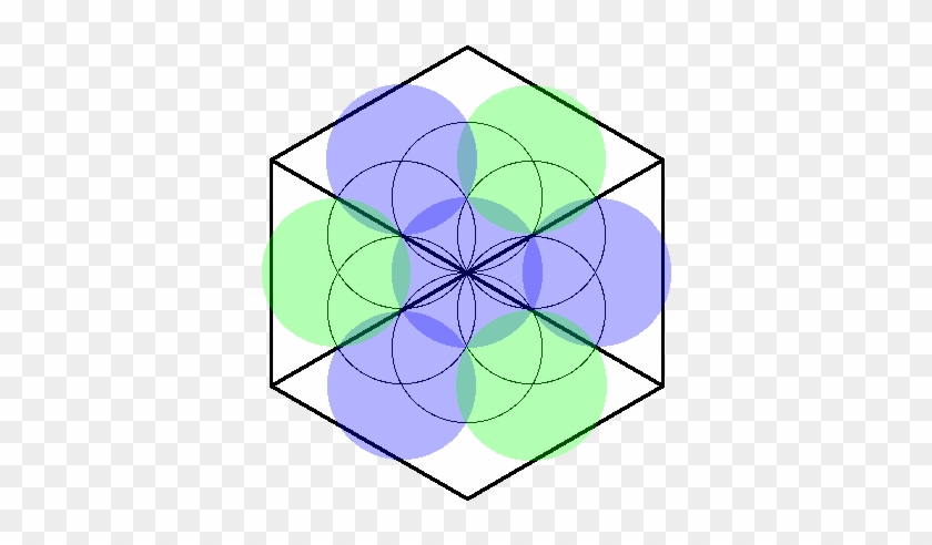 The Flower Of Life Pattern Also Shows That The Eight - El Huevo De La Vida #600438