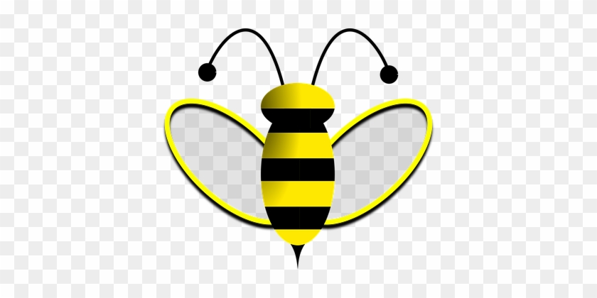 Bee Honeybee Sting Stinger Wings Insect Na - Arı Vektör Png #600632