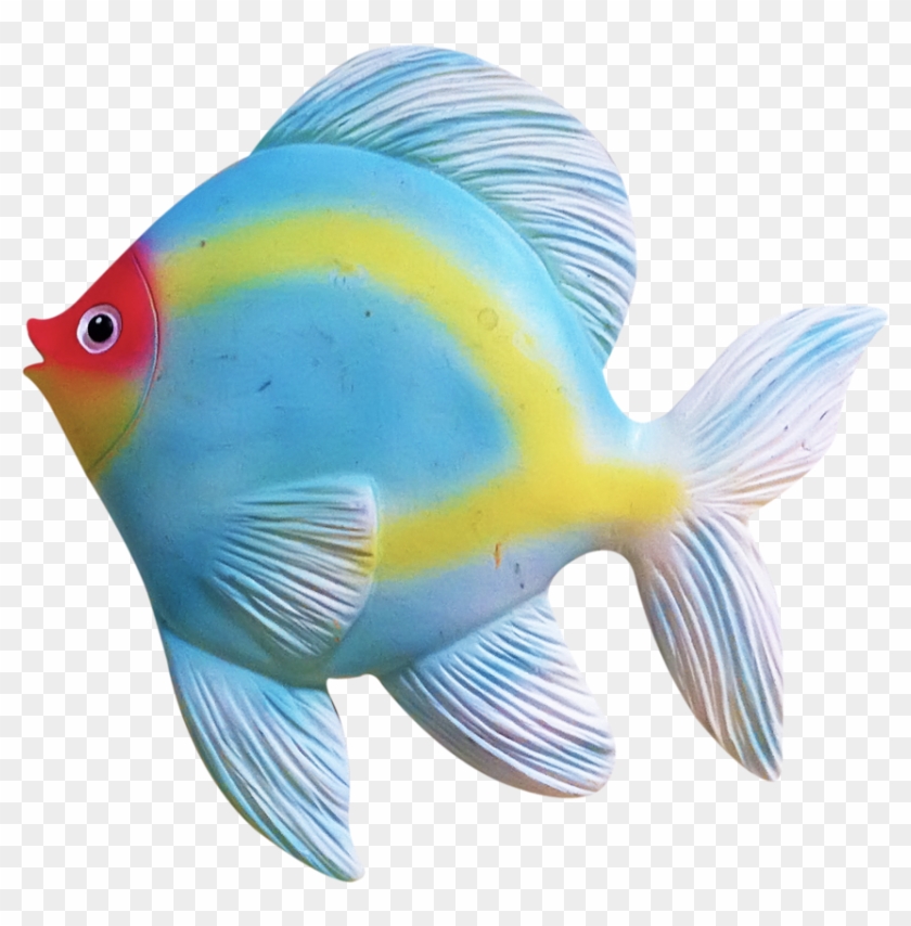Tropical Fish Coral Reef Fish Clip Art - Tropical Fish Coral Reef Fish Clip Art #600861