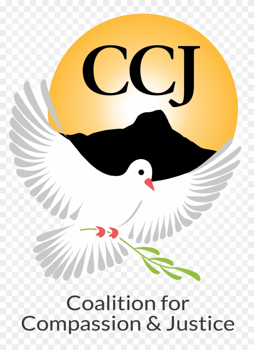 Coalition For Compassion And Justice - Dove With Olive Leaf #600934