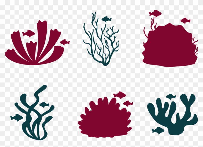 Coral Reef Fish Euclidean Vector - Coral Reef Vector Png #601056