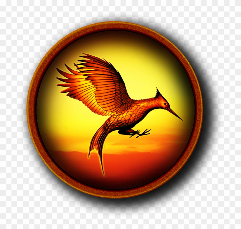 Catching Fire Round Icon By Slamiticon Catching Fire - Icon #601121