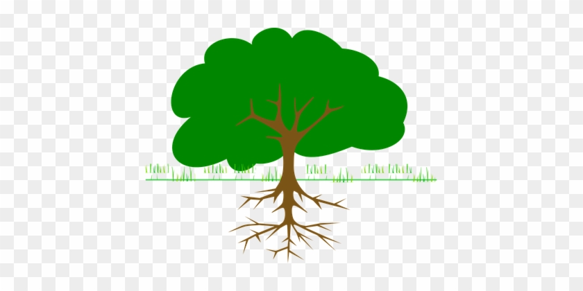 Tree, Branches, Roots, Ecology, Bio - Tree Clip Art #601502