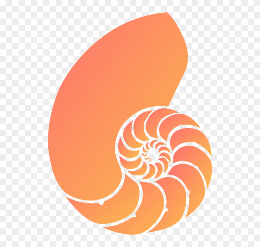 Sea Shell Clipart 3, Buy Clip Art - Nautilus Shell Svg #602004