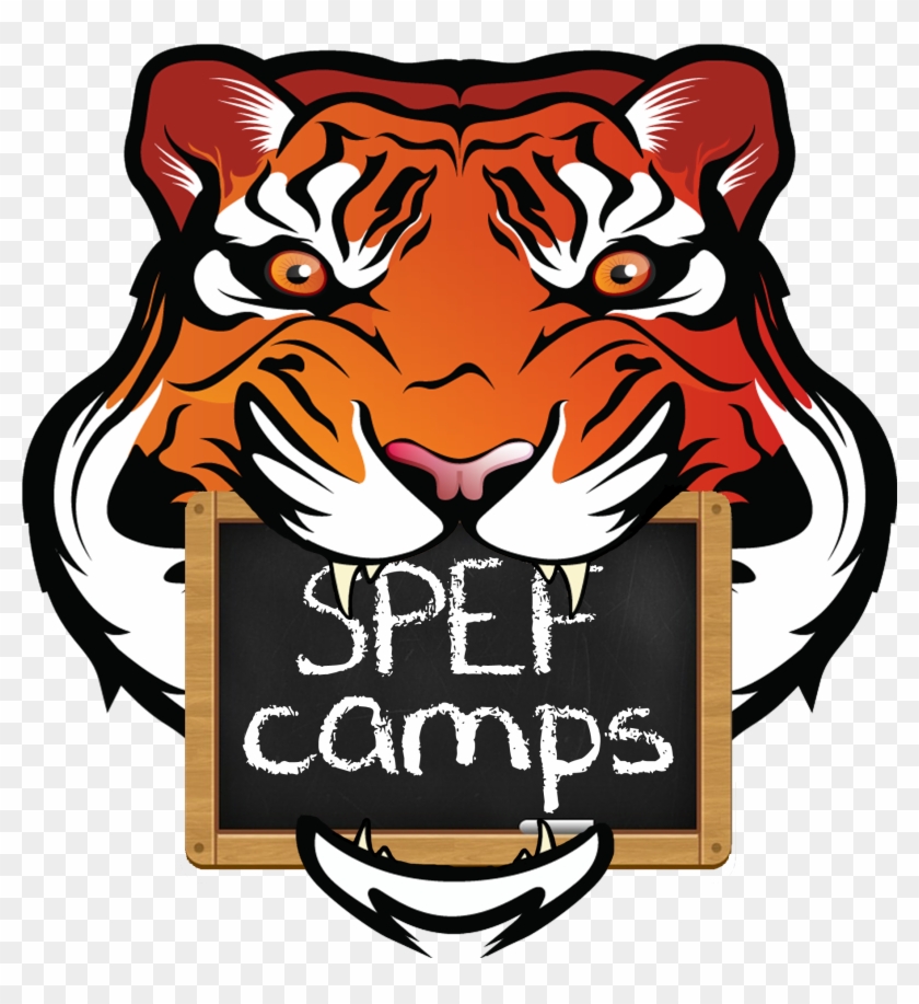 Spef Camps - Memphis Tigers Football #602053