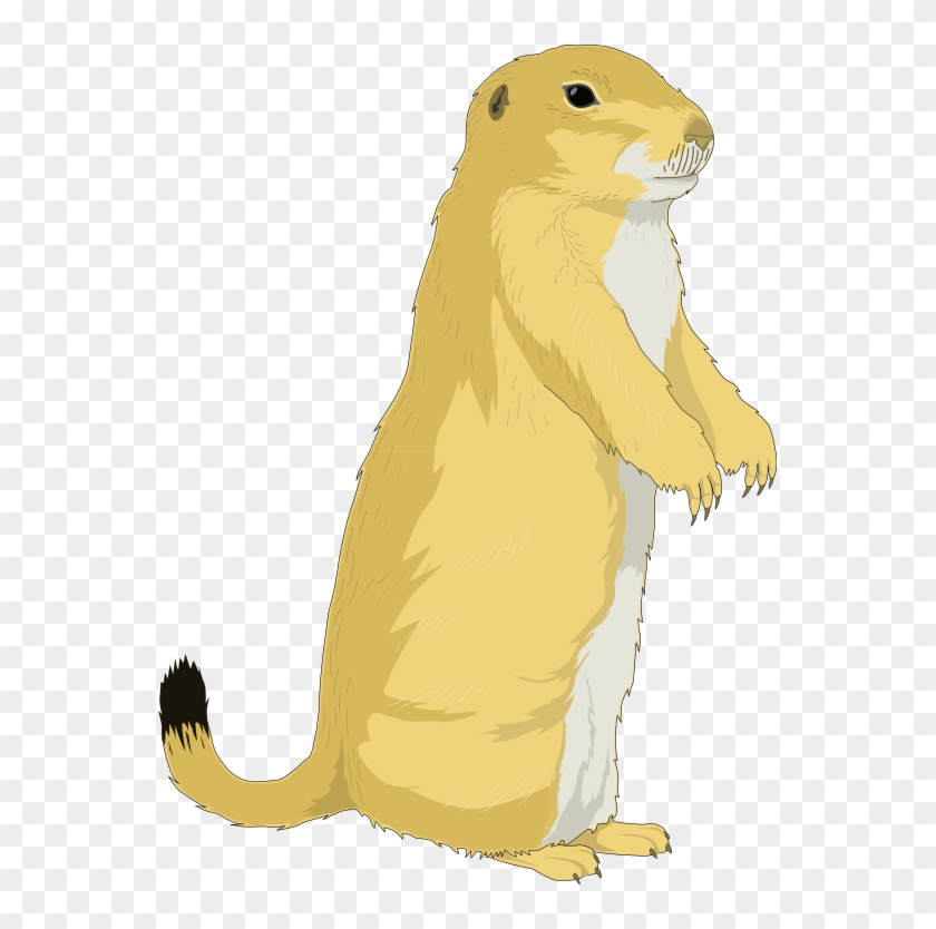 Squirrel Clipart Yellow - Perro De La Pradera Dibujo #602085