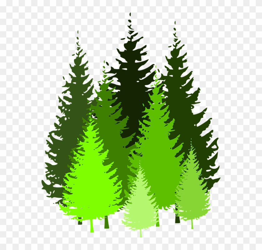 Cartoon Pine Trees 5, Buy Clip Art - Pine Tree Silhouette #602103