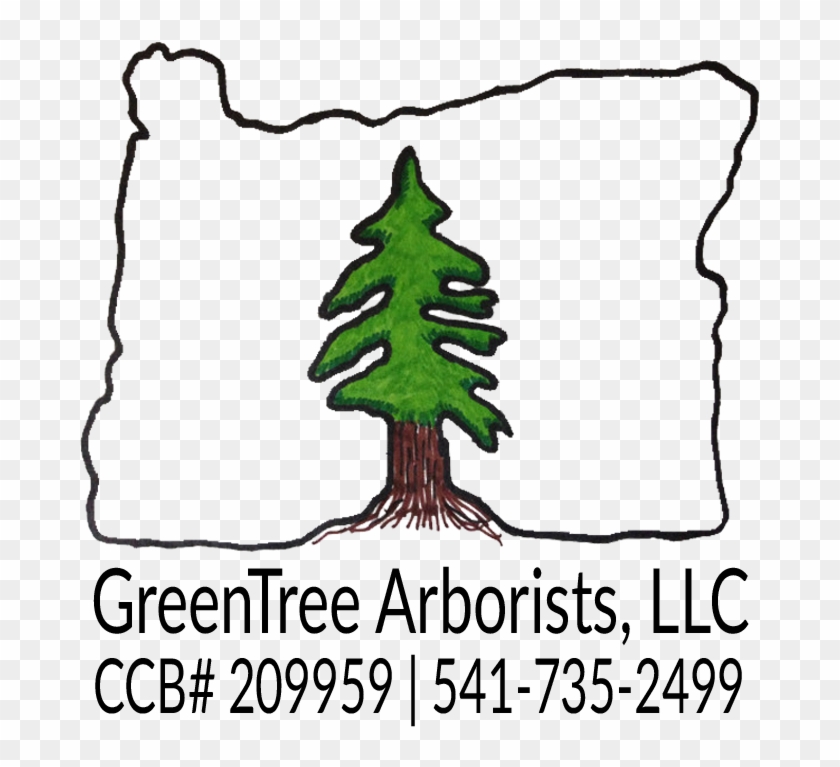 Greentree Arborists - Greentree Arborists, Llc #602138