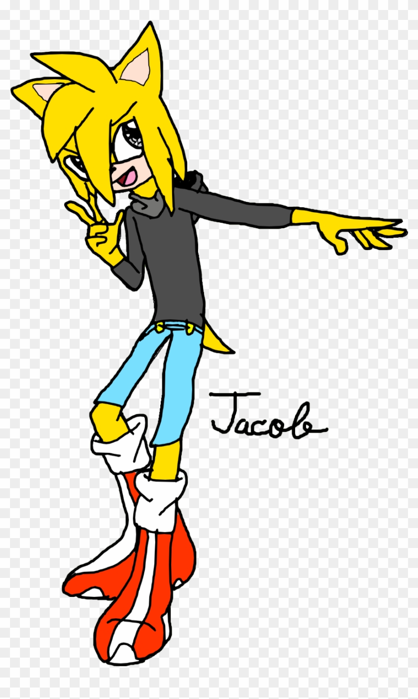 Jacob Maltise The Hedgehog - Wiki #602572