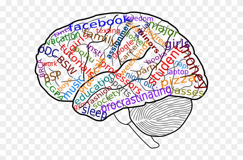 Your Brain On College Clip Art At Clker - Psychology Clipart Transparent #602972