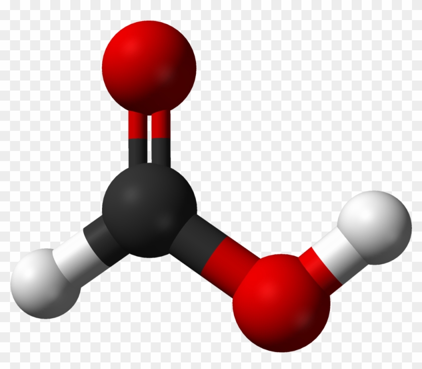 Bonding - Oxalate Ions In Guava #603056