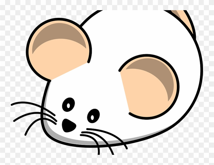 Abc Mouse - White Rat Animated #603065