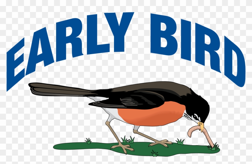 Early Bird Travel Isurance Is Now Available - Bird Came Down The Walk #603154
