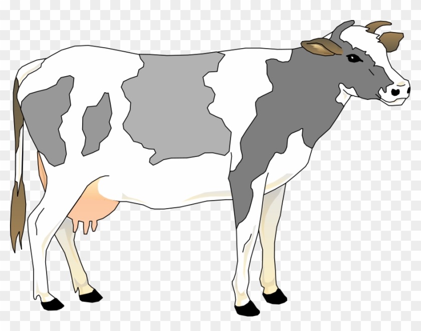 Cow 3 Small Clipart 300pixel Size, Free Design - Grey And White Cow #603252