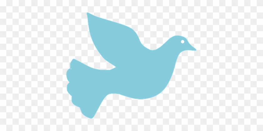 Dove Peace Pigeon Blue Dove Dove Dove Dove - Blue Dove #603273