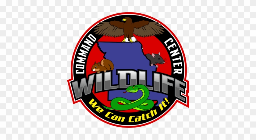 Wildlife Command Center - Wildlife Command Center - Kansas City #603304