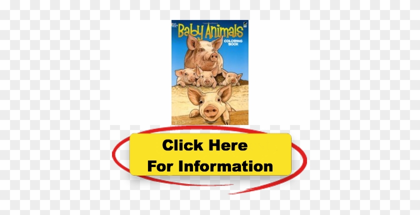Baby Animals Coloring Book Dover Coloring Books For - Baby Animals Coloring Book (dover Coloring Books) #603381