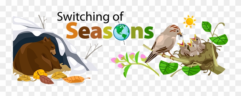 Switching Of Seasons - Ask A Biologist #603405