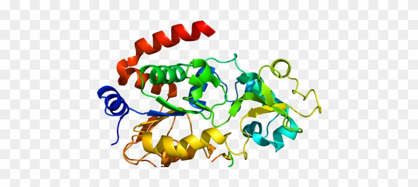 3d Proteins - Proteins Molecule #603443