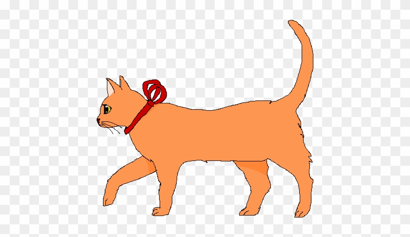 Walking Orange Cat By Bielalabka - Cat Walking Cartoon Png #604360
