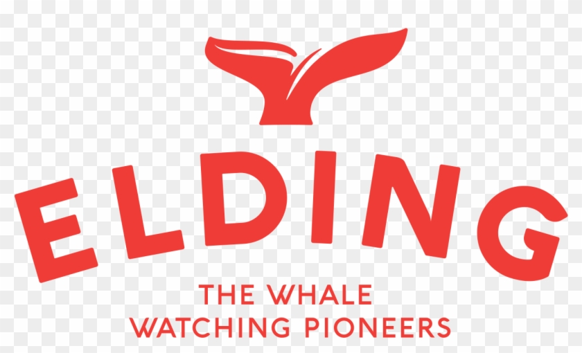 See All Whale Watching Companies - Elding Whale Watching #604547