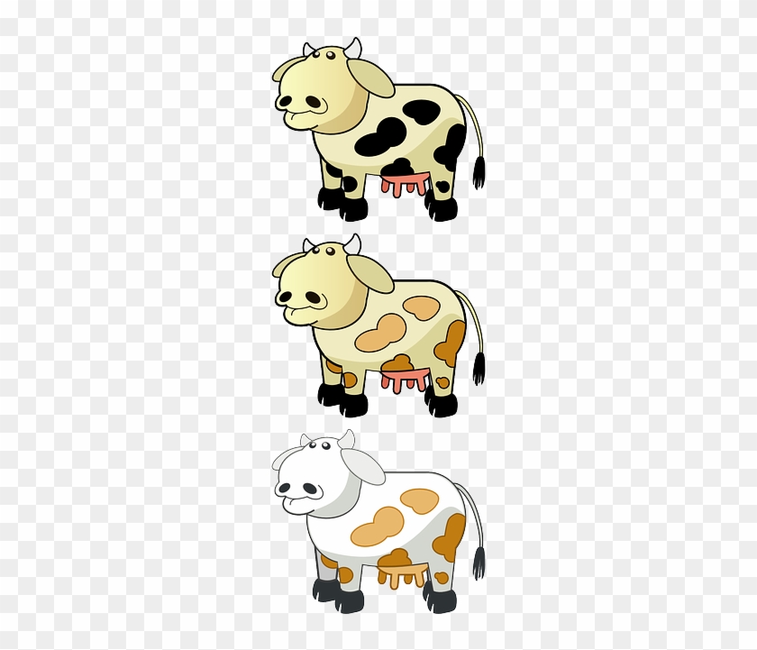 Animal, Cartoon, Cow, Bull, Farm, Dairy, Milk, Mammal - กา ตู น รูป วัว #604556