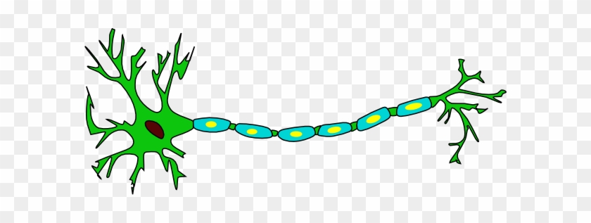 This Free Clip Arts Design Of Neuron Png - Neuron Png #604754