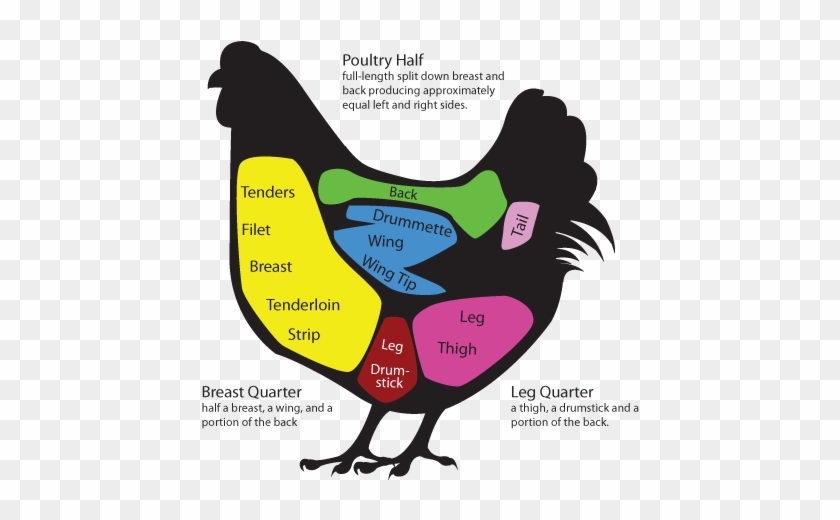 Chicken Meat Cuts - Retail Cuts Of A Chicken #604781