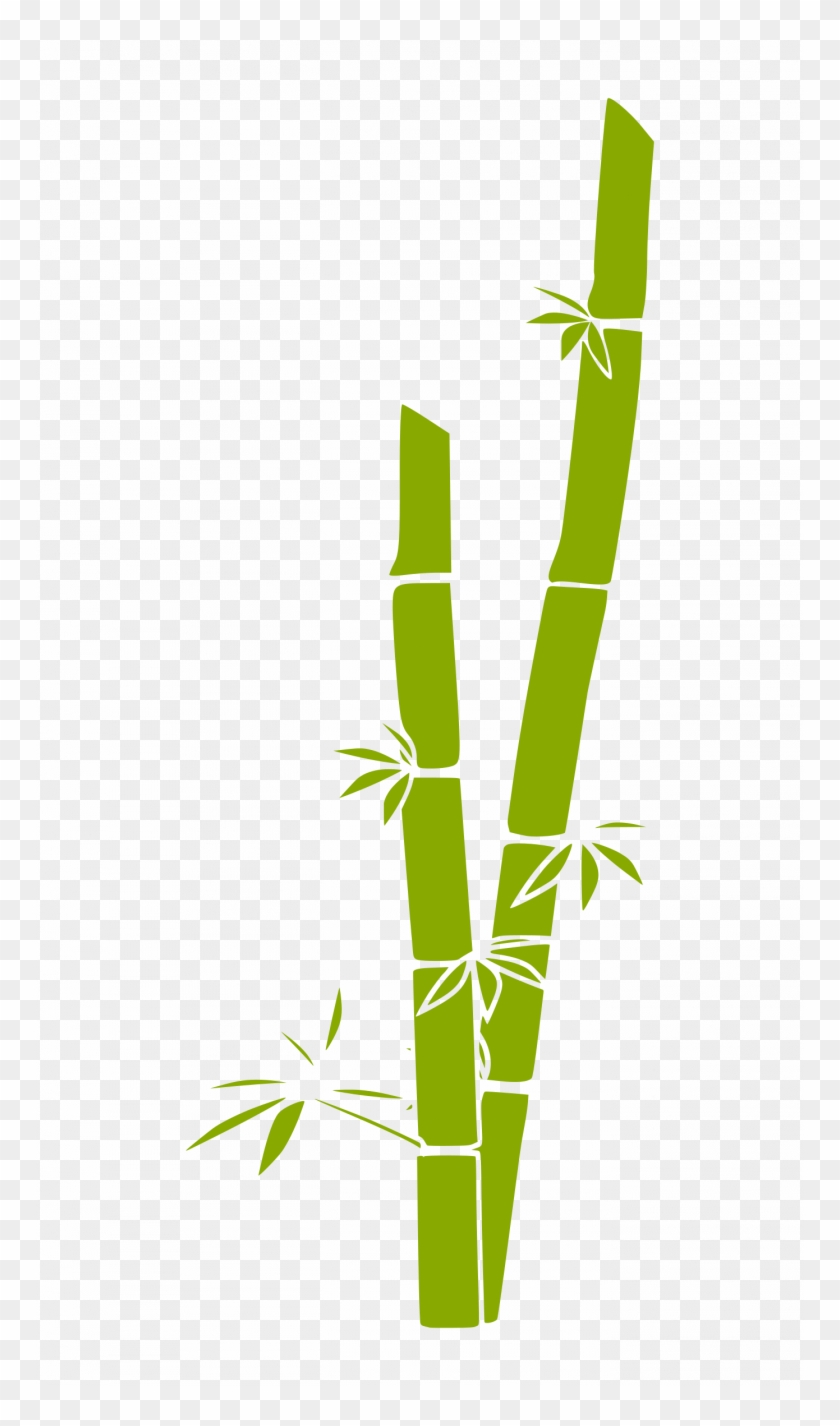 Bamboo Clipart - Bamboo Clip Art #604983