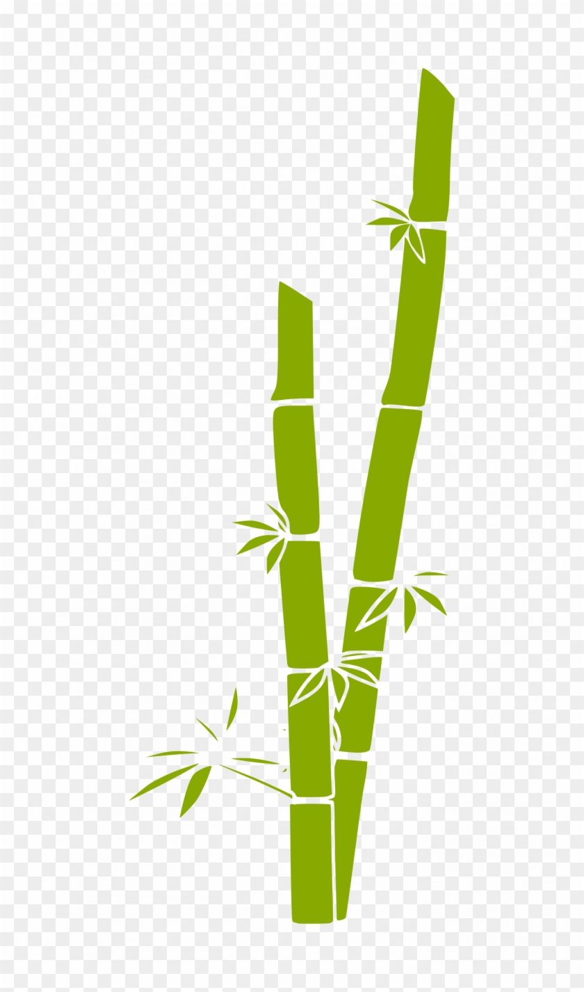 Bamboo Clipart - Bamboo Clip Art #604983