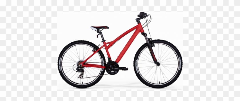 Marin Bolinas Ridge 2010 #605147