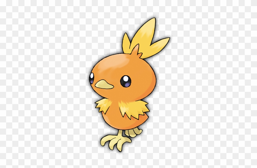 Pokémon Lagarto Da Floresta, Pokémon Pintainho - Pokemon Torchic #605889
