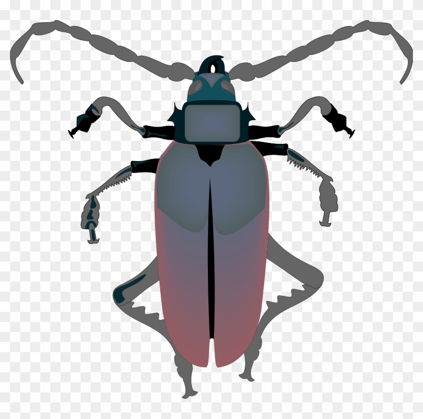 Insect 29 Free Vector - Beetle #606215