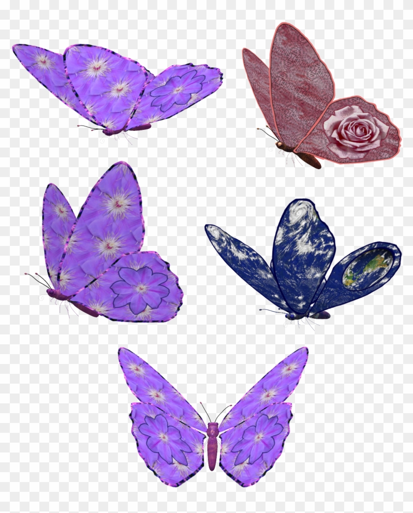 Butterfly Insect Clip Art - Butterfly Insect Clip Art #606391
