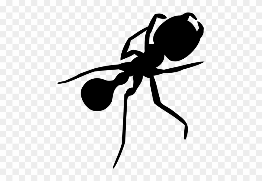 Ant With Long Legs Silhouette Vector Graphics Public - Ant Silhouette Png #606228