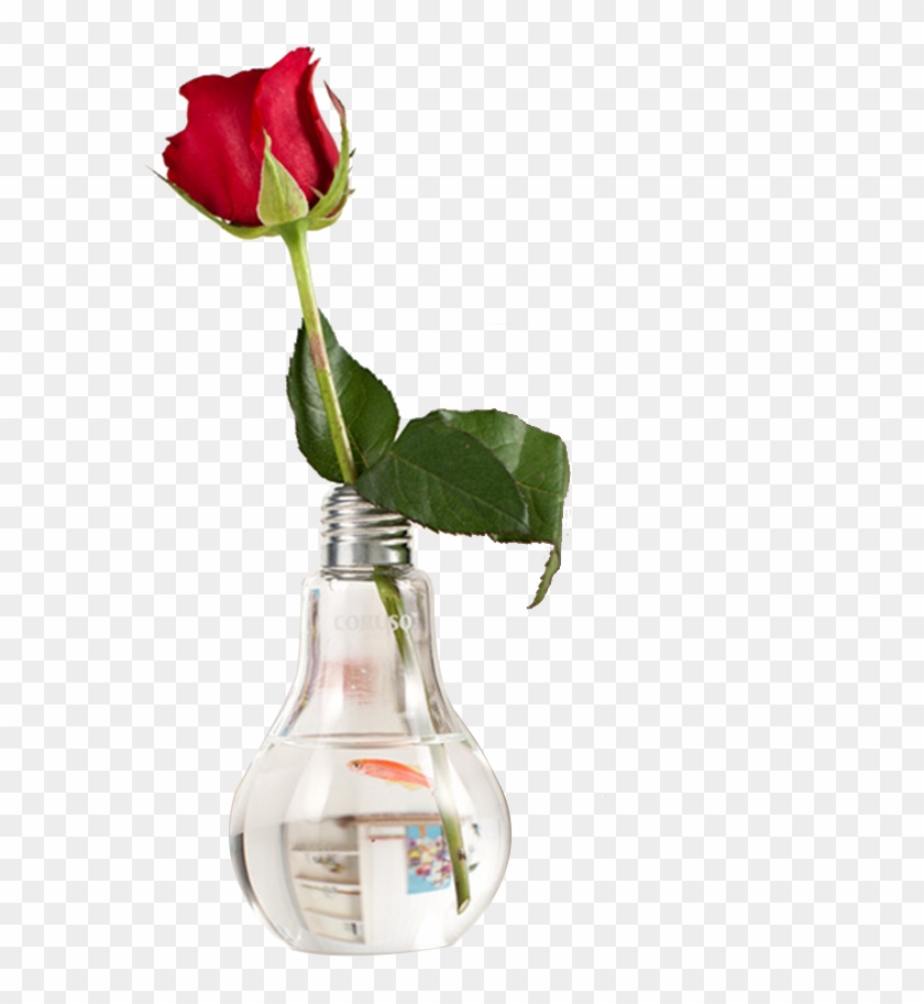 Light Table Gl Vase Flowerpot Rose Png - Light Table Gl Vase Flowerpot Rose Png #606615